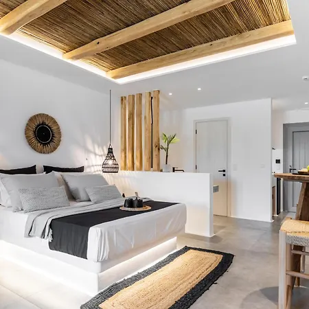 Naxos Anamnisi Aparthotel Pláka