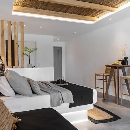 Aparthotel Naxos Anamnisi Pláka