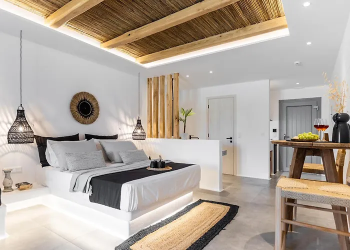 Naxos Anamnisi Aparthotel Pláka