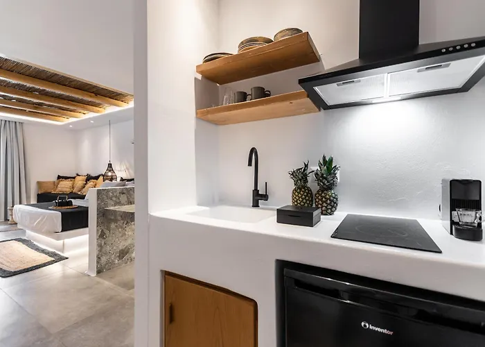 Naxos Anamnisi Aparthotel Pláka