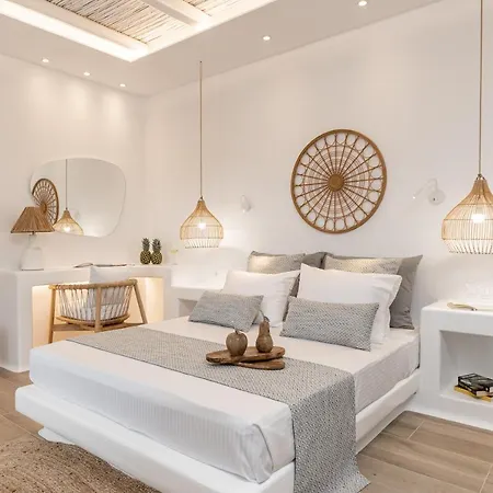 Ξενοδοχείο με διαμερίσματα Naxos Anamnisi Πλάκα