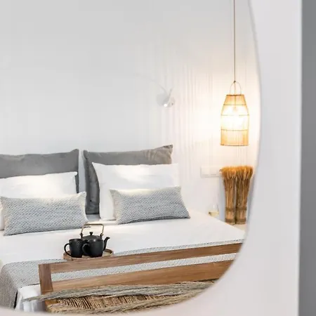 Ξενοδοχείο με διαμερίσματα Naxos Anamnisi