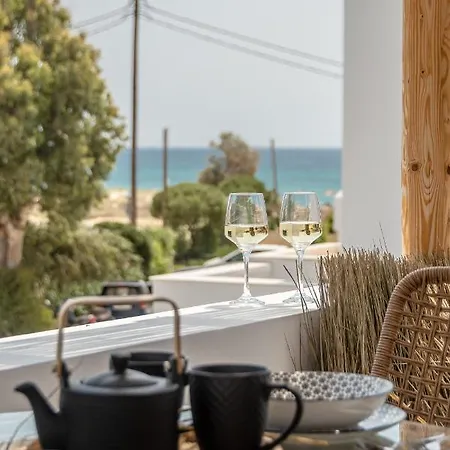 Naxos Anamnisi Ξενοδοχείο με διαμερίσματα Πλάκα